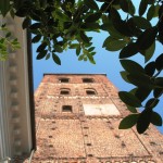 Campanile della Collegiata di Sant'Agata